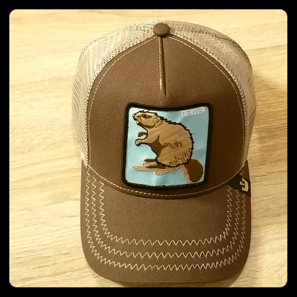 Nwot Goorin Bros Beaver women's baseball cap